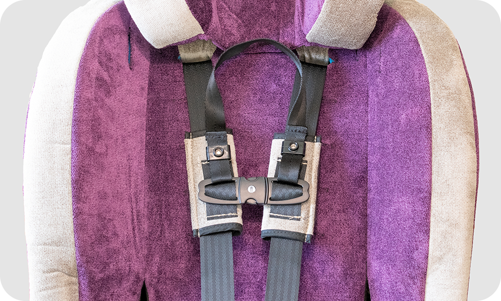 Merritt_Roosevelt_Options_Chest_Clip_Guard_1000x600_rounded_1