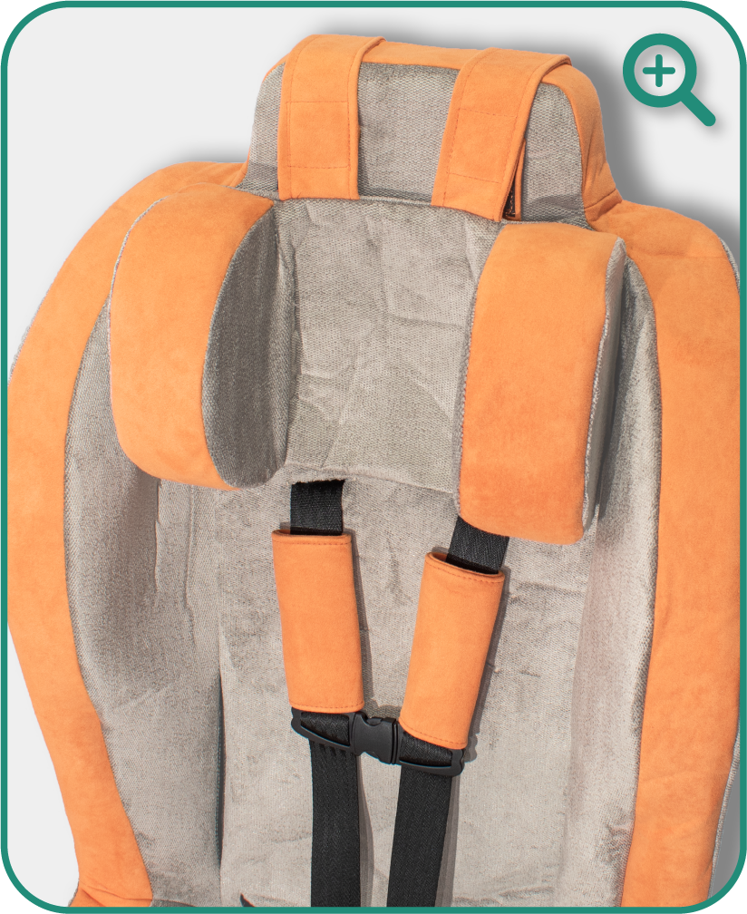 Roosevelt headrest detail — Citrus Road