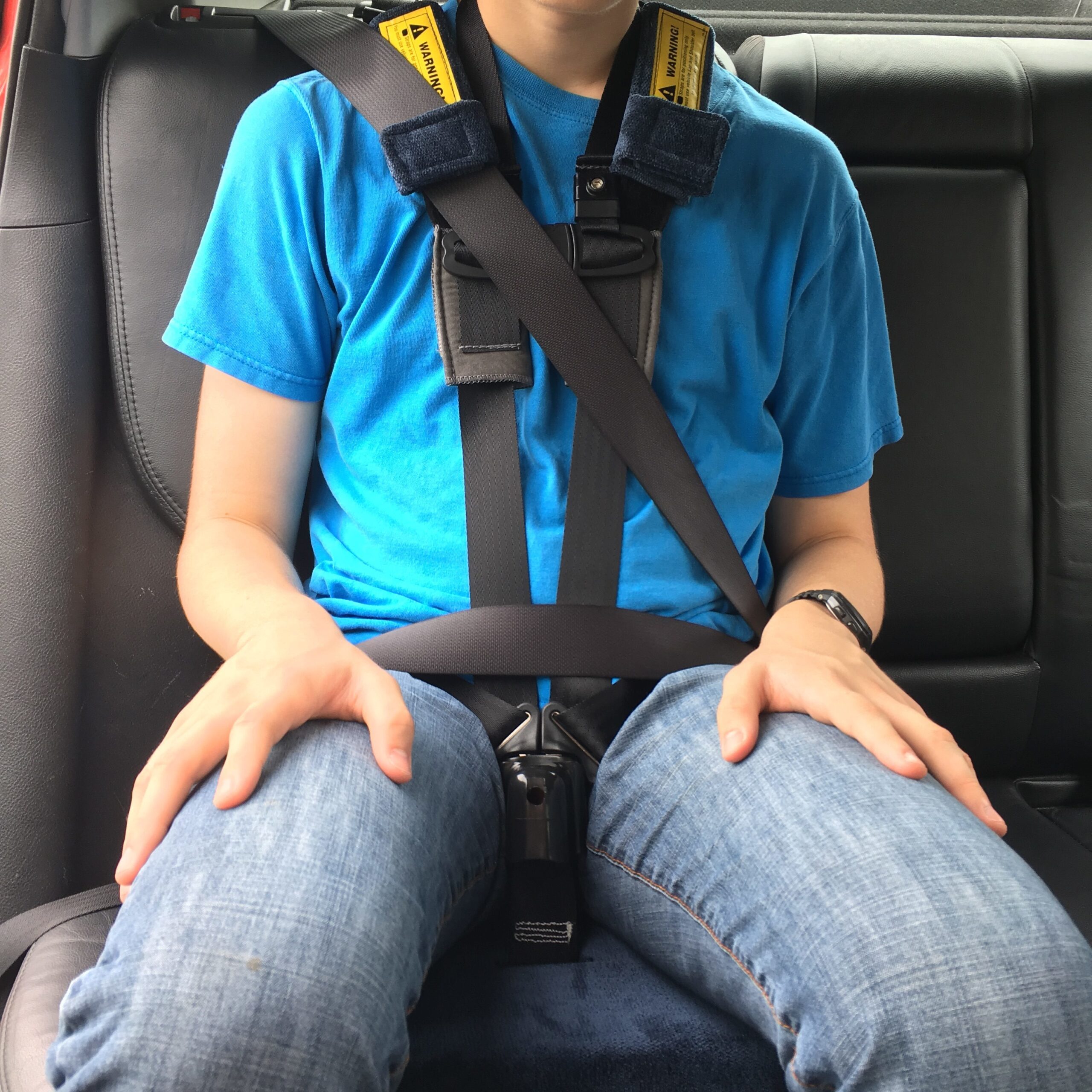 Chest Clip Guard - Merritt Car Seat